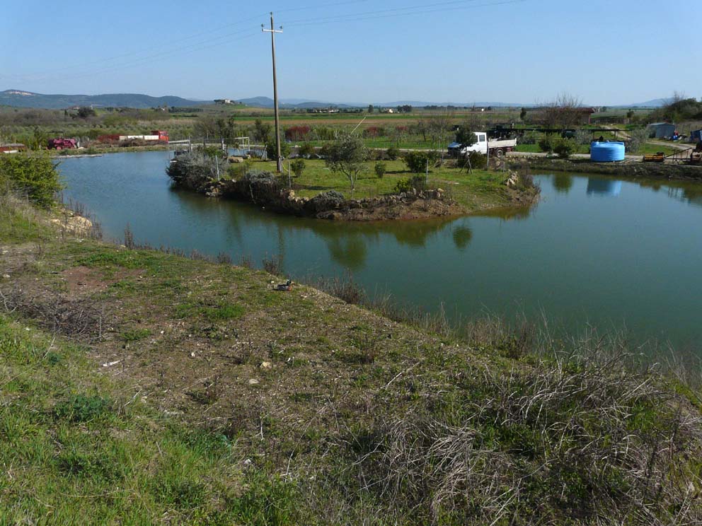 Lago artificiale da naturalizzare in piena Maremma!